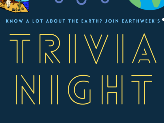 Trivia Night header image